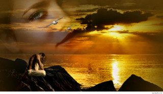 Woman sitting rock bird flying - a rock free wallpaper
