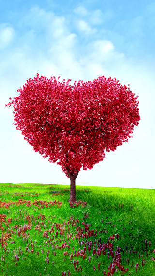 Heart tree flower field sunny - florianne becker free wallpaper