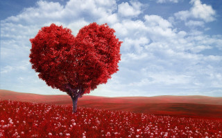 Heart shaped tree field flowers 2 - a heart free wallpaper