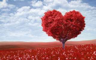 Heart shaped tree field of - naive free wallpaper