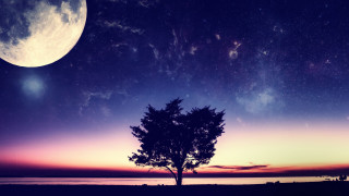 Tree moon night purple blue - caspar wolf free wallpaper