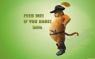 Cat hat sword green eyes - dom qwek free wallpaper