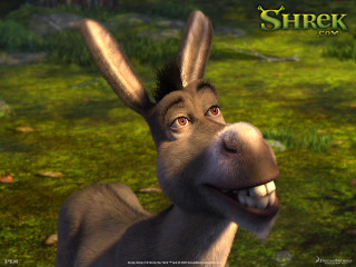 Donkey funny look mouth expression - weta digital free wallpaper