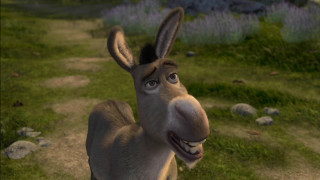 Donkey funny look field grass - cgi free wallpaper