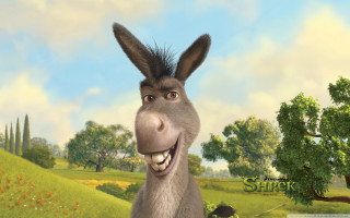 Donkey funny look tree sky - weta digital free wallpaper