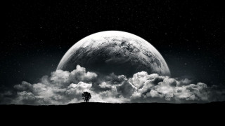 Black white tree clouds full - moon free wallpaper
