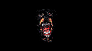 Black dog red mouth black - a black dog free wallpaper