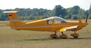 Small yellow plane grass field - tree and a forest in the background free wallpaper
