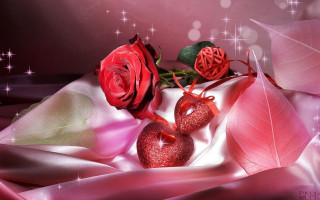 Roses pink cloth table hearts 2 - two rose free wallpaper