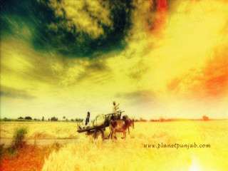 Horse carriage wheat field cloudy - cloudy free wallpaper