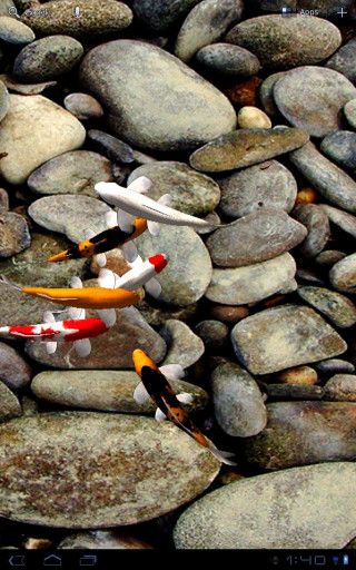 Fish swimming pond rocks water - rock free wallpaper