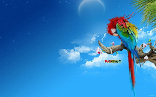 Colorful parrot palm branch moon - a colorful parrot free wallpaper