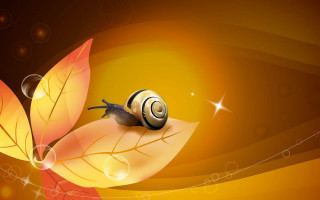 Snail leaf star swirly background - a leaf free wallpaper