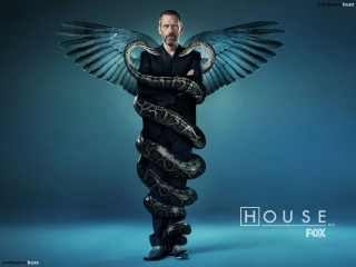 Man snake wrapped wings back - erlund hudson free wallpaper