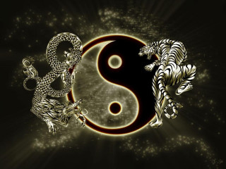 Tiger white tiger yin yang - a white tiger free wallpaper