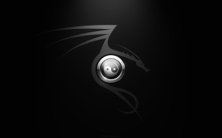 Dragon black white photo background - dragon art free wallpaper