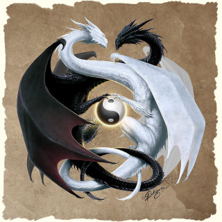 Dragon fire water battle brown - dragon art free wallpaper