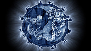 Blue white tigers circle black - two tiger free wallpaper