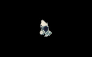 Bird flying dark background white 2 - amano free wallpaper