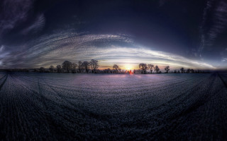 Field trees sky clouds sunset - wide free wallpaper