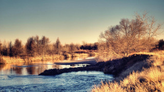 River field forest sunset bridge - a dry grass free wallpaper