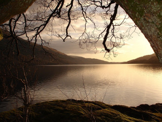 Tree branch mountain water sunset - over a body of water free wallpaper