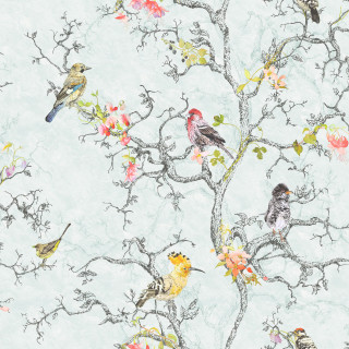 Flock birds tree branch flowers - top of a tree branch free wallpaper
