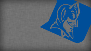 Blue gray wolf logo background - blueprint free wallpaper