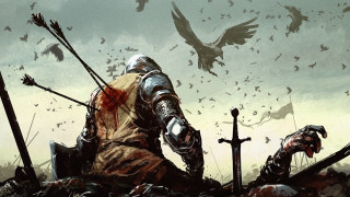 Man armor sword birds flying - overhead free wallpaper