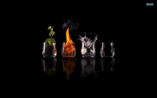Glasses plant table black background 2 - a plant free wallpaper