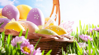 Basket eggs flower field folk - egg free wallpaper