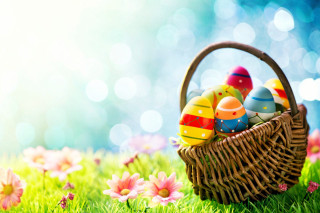 Basket colorful painted eggs green - a basket free wallpaper