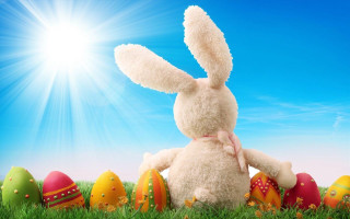 Stuffed rabbit grass eggs blue 2 - the sun shining behind free wallpaper