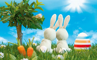 Stuffed rabbits grass tree eggs 2 - stuffed free wallpaper