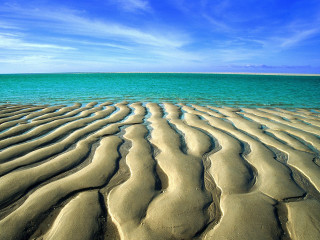 Sandy beach blue sky water - a blue sky and water free wallpaper