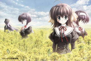 Anime girls sunflowers sky clouds - a field of sunflowers free wallpaper