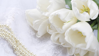 White flower beaded necklace lace - exquisite free wallpaper