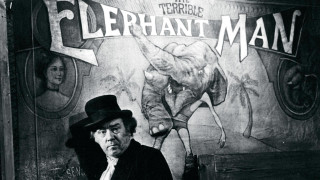Man top hat suit elephant - amédée ozenfant free wallpaper