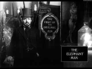 Man top hat coat elephant - a man in a top hat free wallpaper