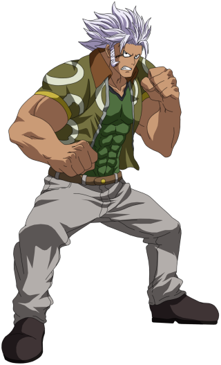 White hair man kick pose - his fist free wallpaper