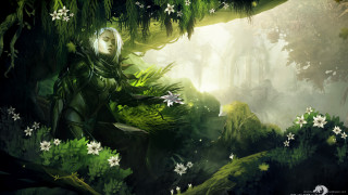 Woman forest flowers chest green - a forest background free wallpaper
