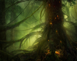 Forest lights moss trees illuminated - matte fantasy painting free wallpaper