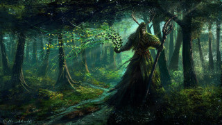 Woman forest branch bird antlers - a green plant free wallpaper