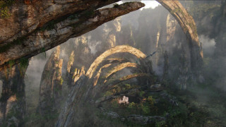 Foggy forest rock formation sunbeam - fog in the air and trees free wallpaper