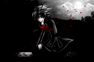 Girl red bow rose night - the dark free wallpaper