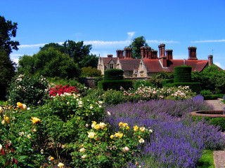 Garden house flowers fountain background - beatrix potter free wallpaper