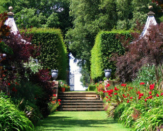 Garden flowers stairs trees nature - stair free wallpaper