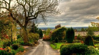 Road tree house cloudy sky 3 - both side free wallpaper