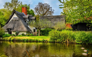 Thatched roof house pond duck 2 - beautiful landscape free wallpaper