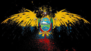 Bird wings painted venezuela flag - ilm free wallpaper